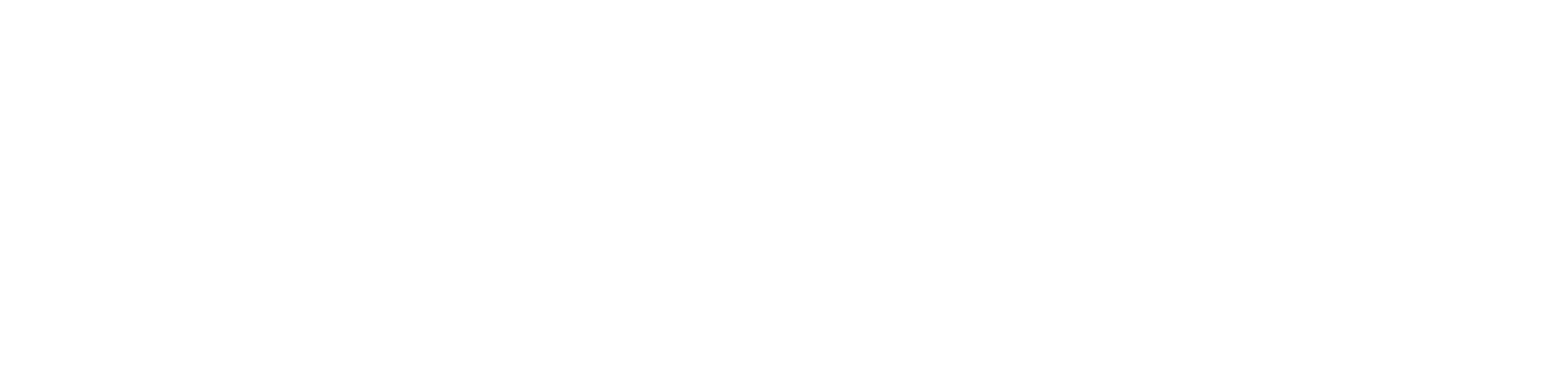 Denbright-logo-Horizontal-rev