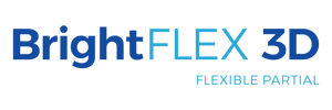 BrightFLEX3D Logo Versions2